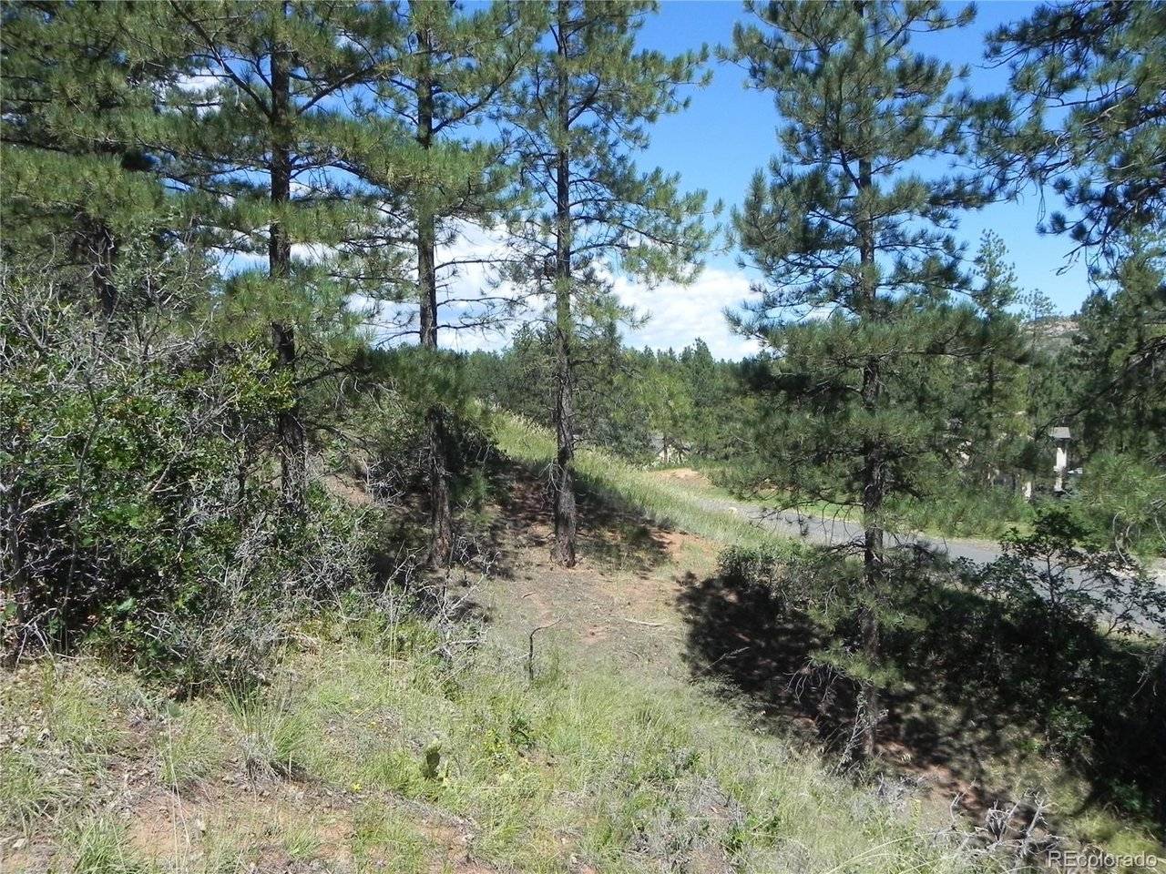 4144 Cheyenne, Larkspur, CO 80118