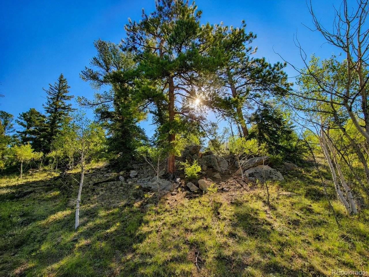 837 Concord, Jefferson, CO 80456