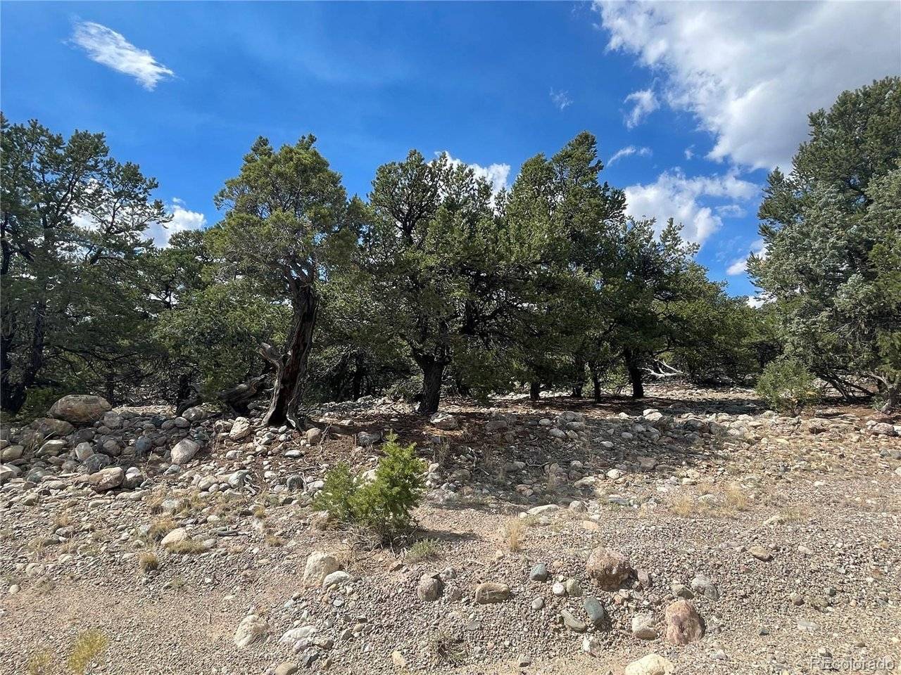 Address not disclosed, Crestone, CO 81131