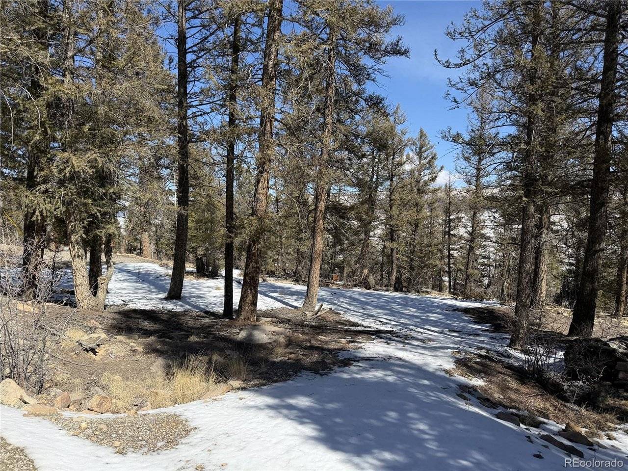 Address not disclosed, Fairplay, CO 80440