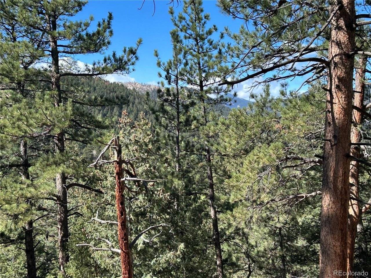 0 Pine, Evergreen, CO 80439