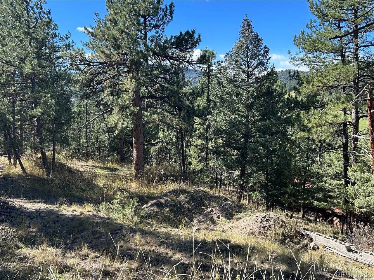 0 Pine, Evergreen, CO 80439