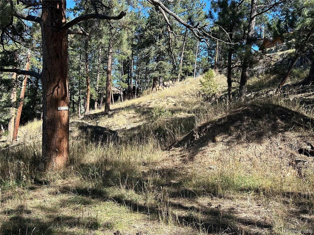 0 Pine, Evergreen, CO 80439