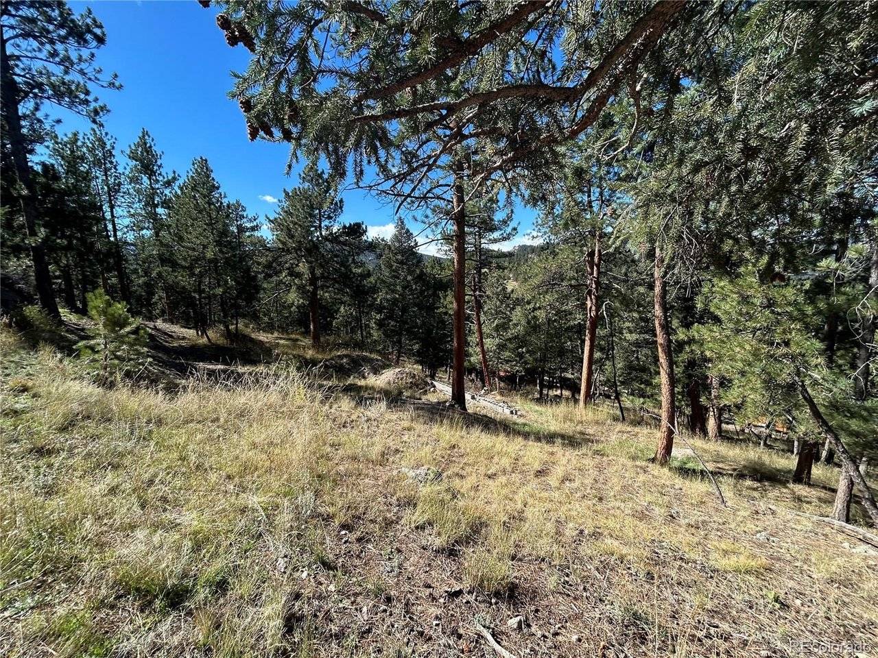 0 Pine, Evergreen, CO 80439