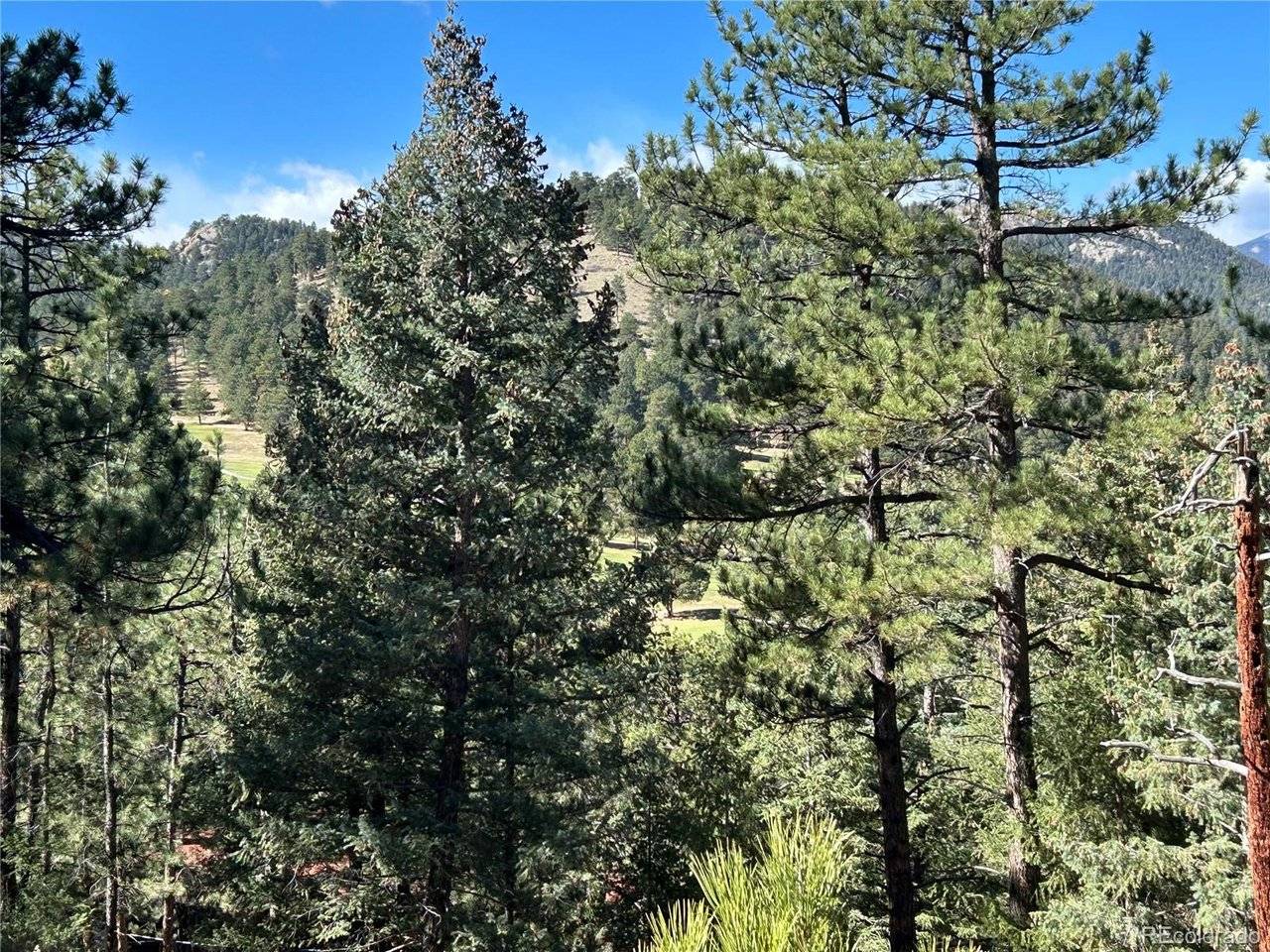 0 Pine, Evergreen, CO 80439