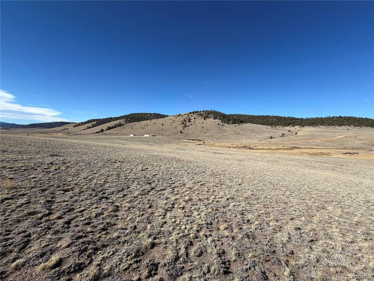 66 Wagon Wheel, Hartsel, CO 80449