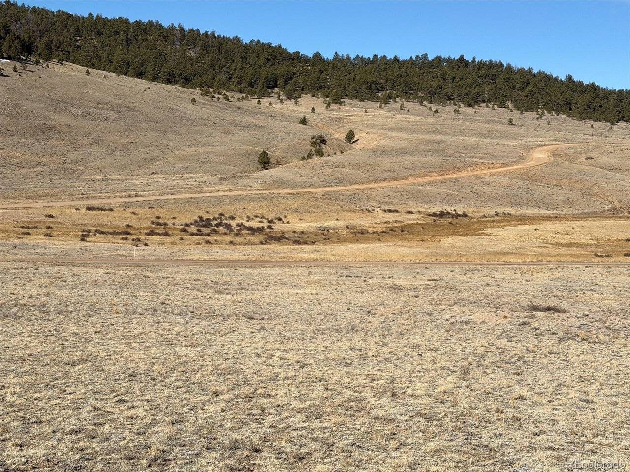 66 Wagon Wheel, Hartsel, CO 80449