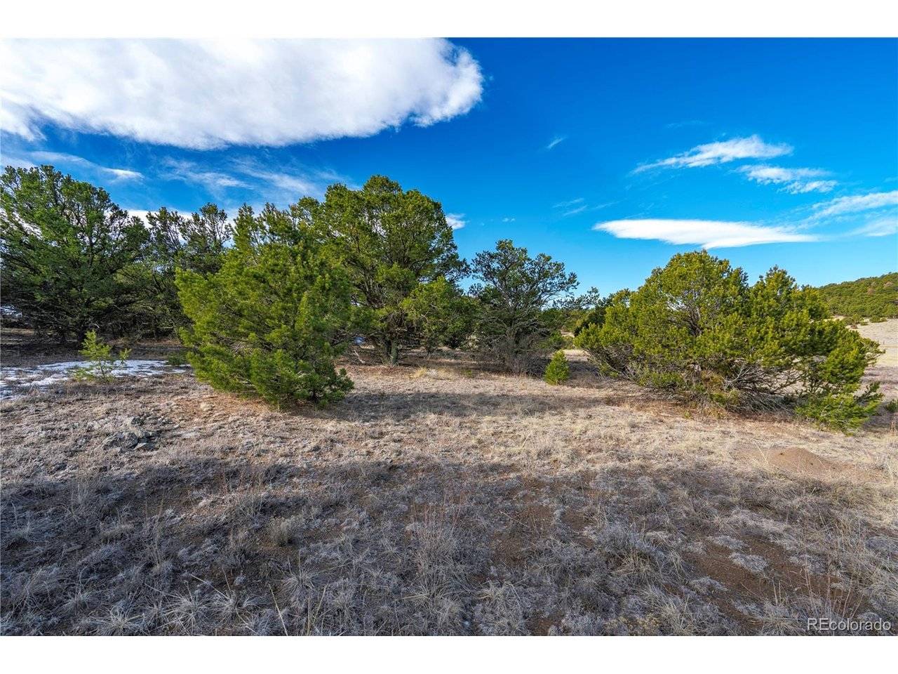 1382 Chinook, Canon City, CO 81212
