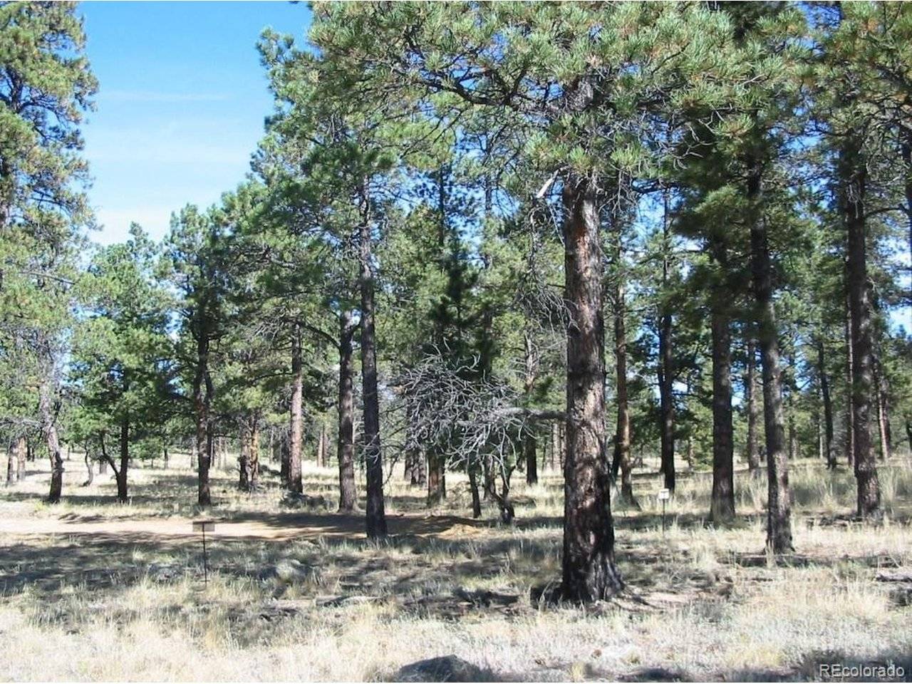14794 Wetterhorn Peak, Pine, CO 80470
