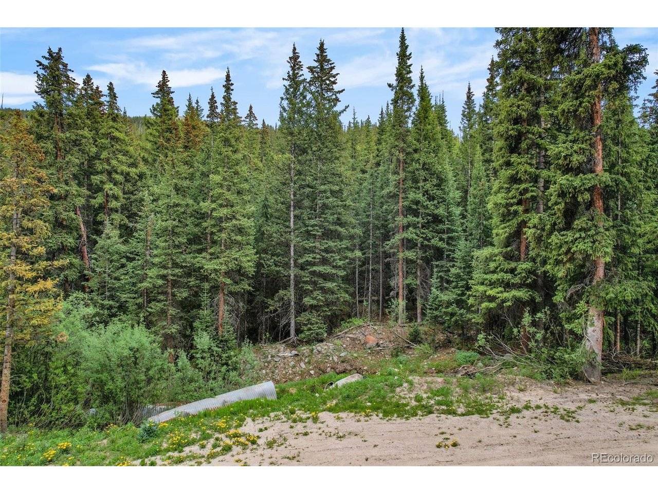 286 CTY Road 675, Breckenridge, CO 80424