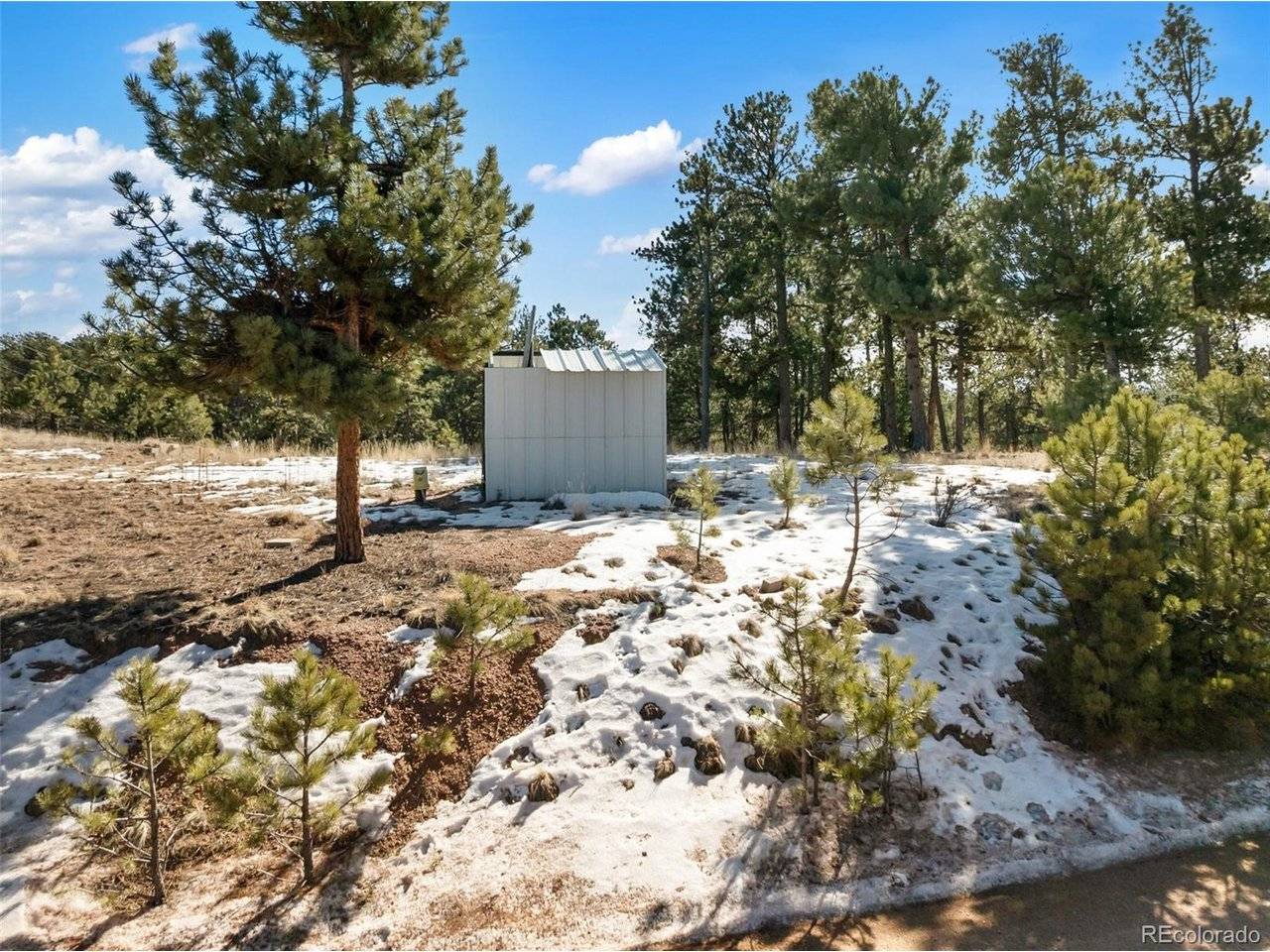 530 Columbine, Florissant, CO 80816