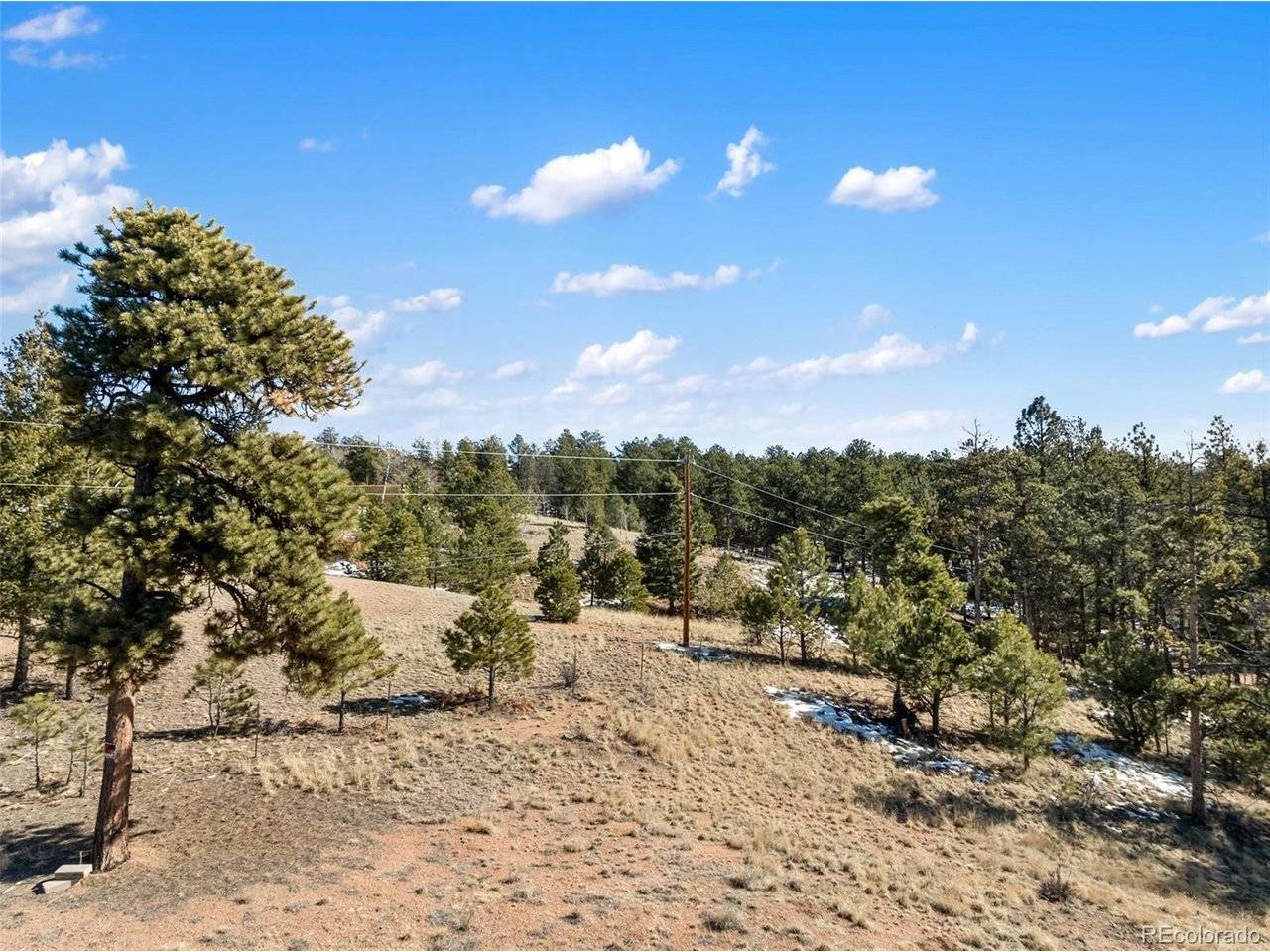 530 Columbine, Florissant, CO 80816