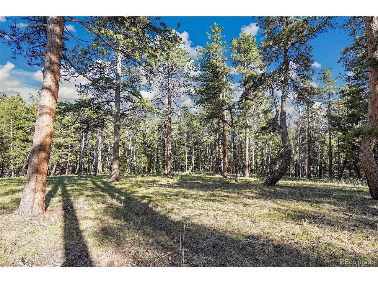 Molly Dr, Lot #3, Conifer, CO 80433