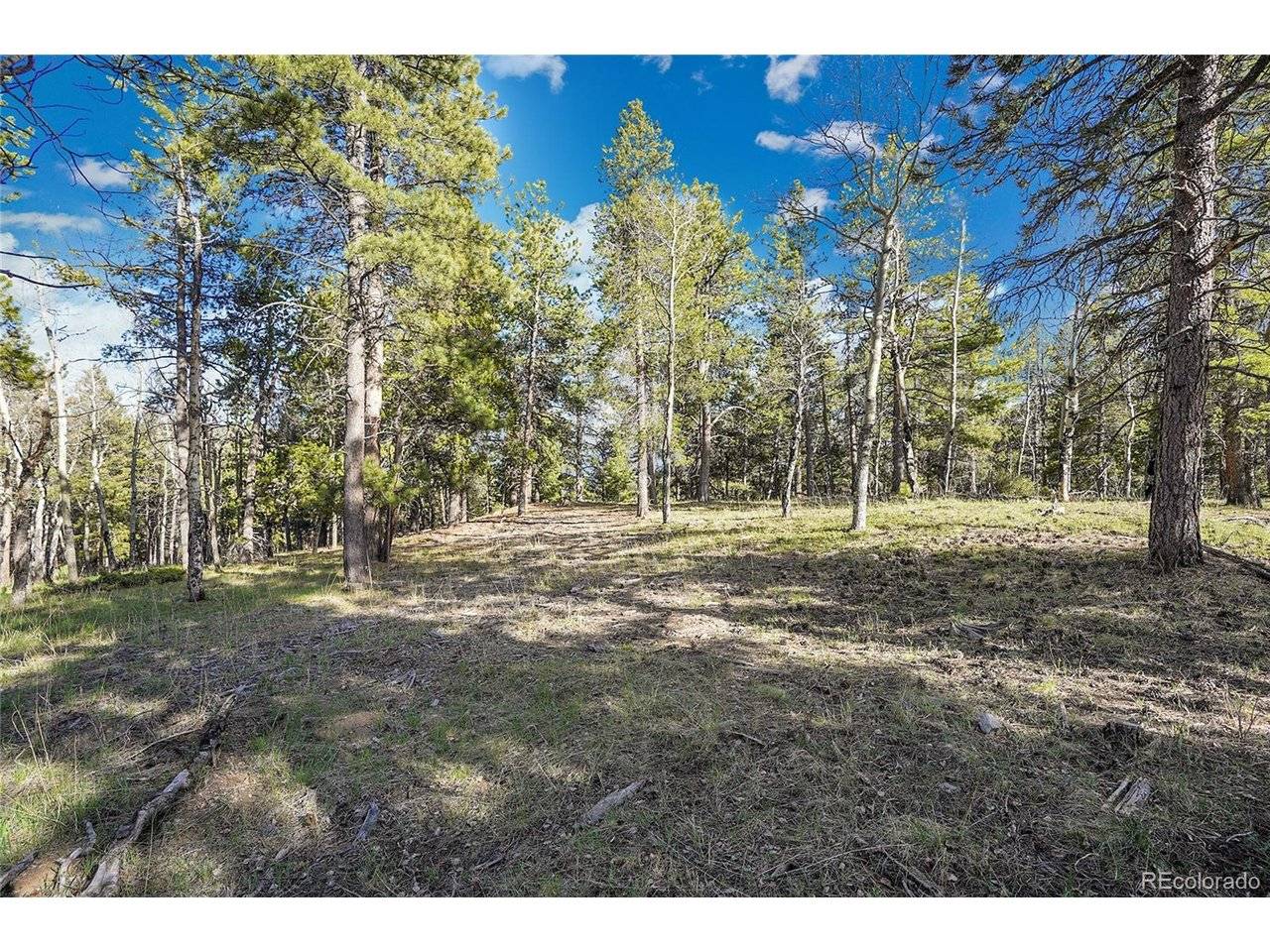 Molly Dr, Lot #3, Conifer, CO 80433