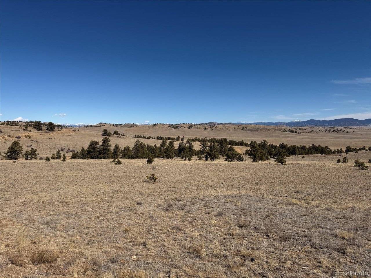 367 Arikara, Hartsel, CO 80449