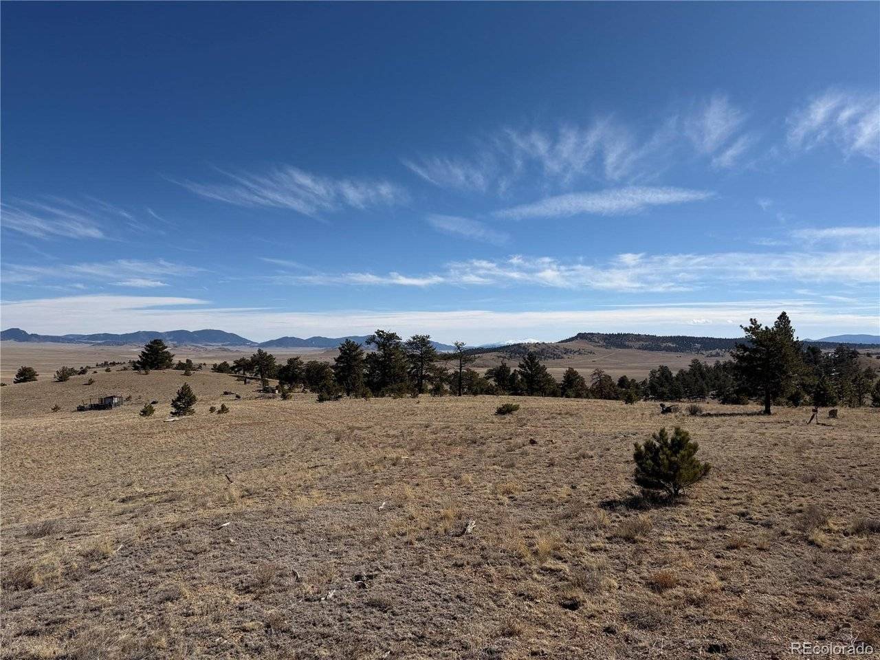 367 Arikara, Hartsel, CO 80449