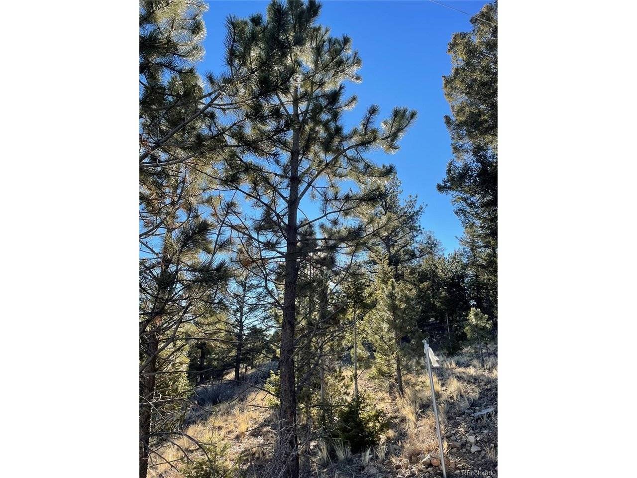 0 Tarryall, Hartsel, CO 80449