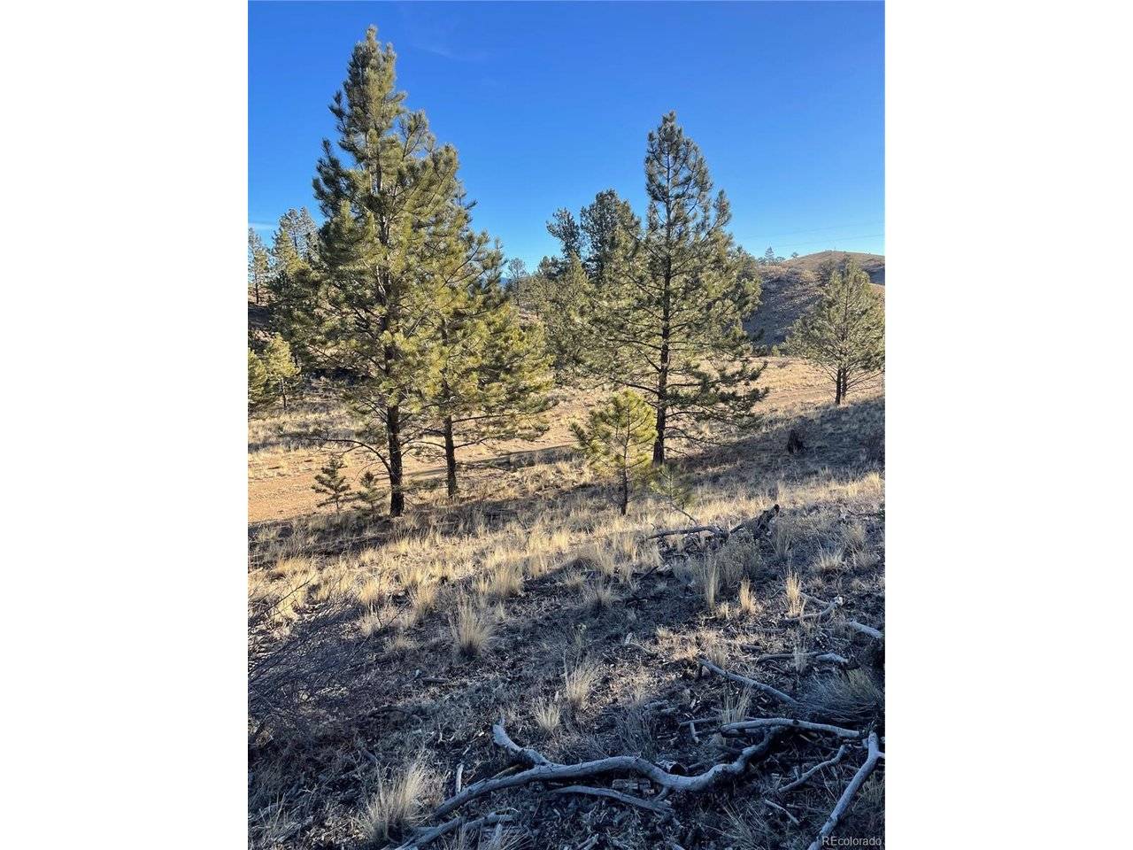0 Tarryall, Hartsel, CO 80449