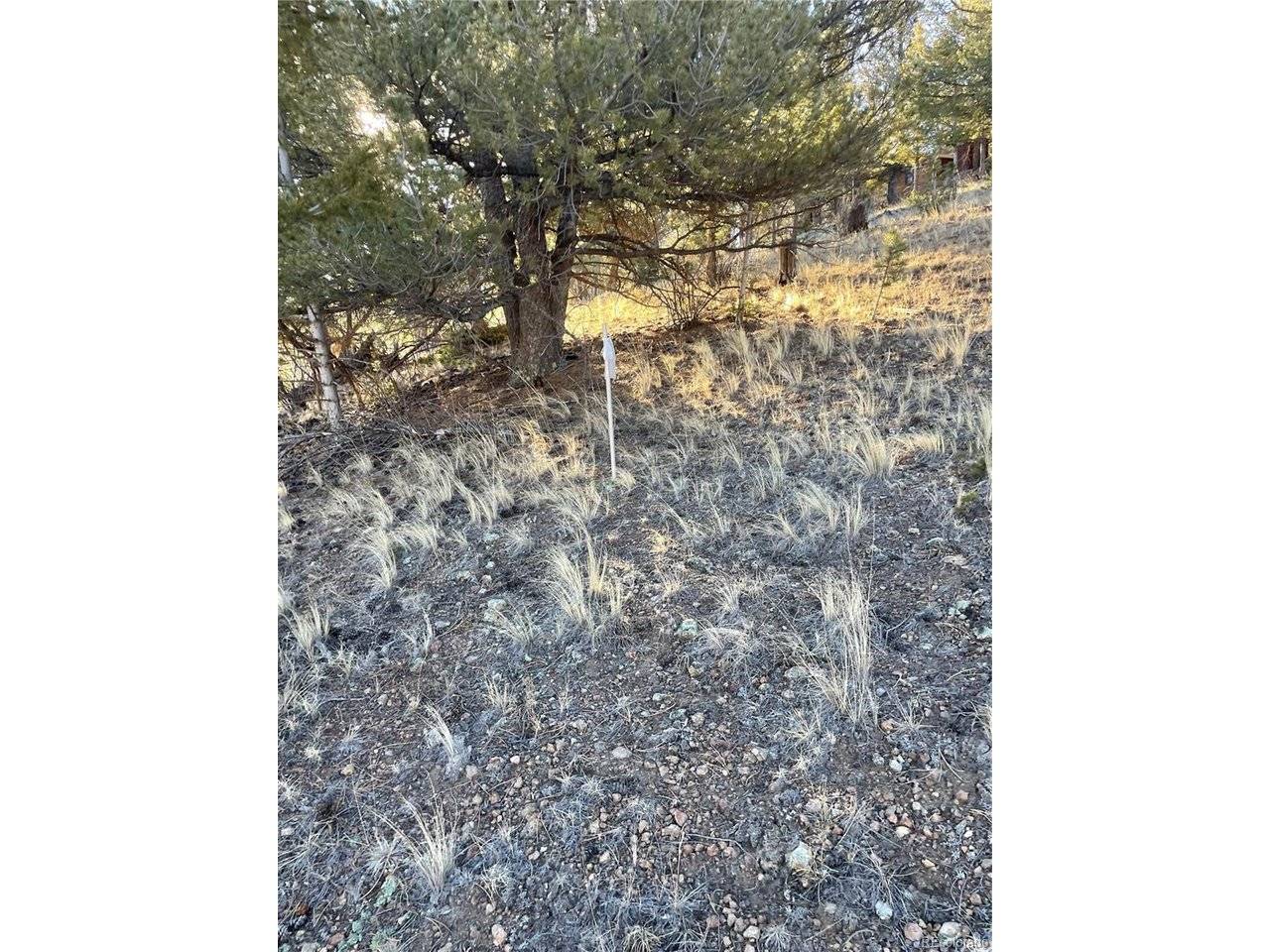 0 Tarryall, Hartsel, CO 80449
