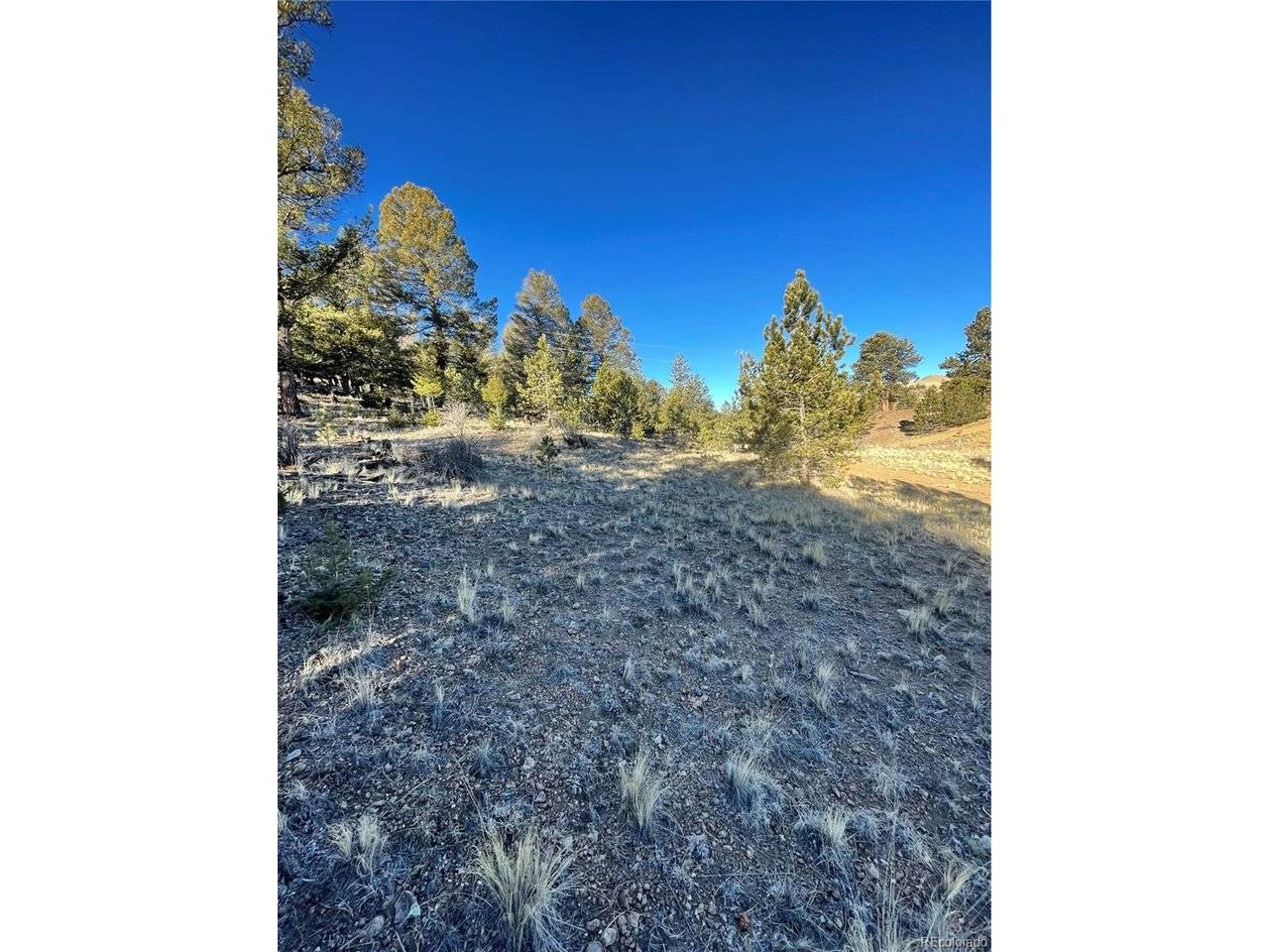 0 Tarryall, Hartsel, CO 80449