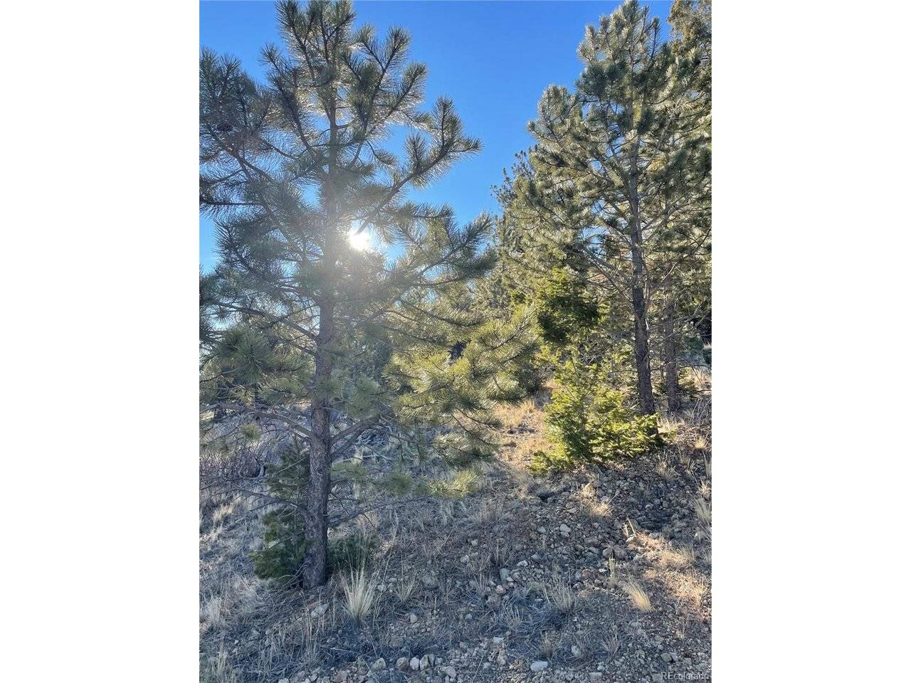 0 Tarryall, Hartsel, CO 80449