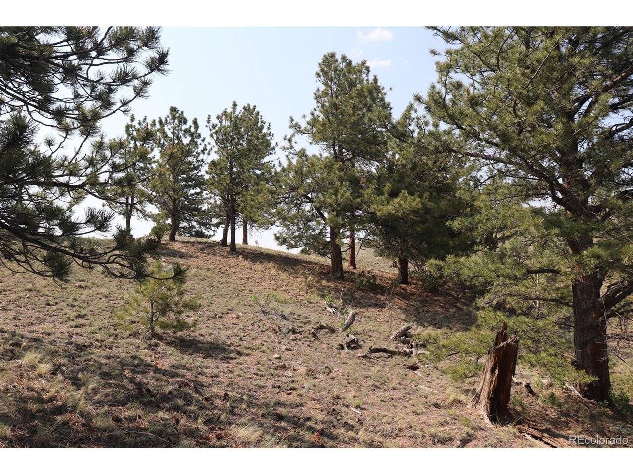 687 Corral, Hartsel, CO 80449