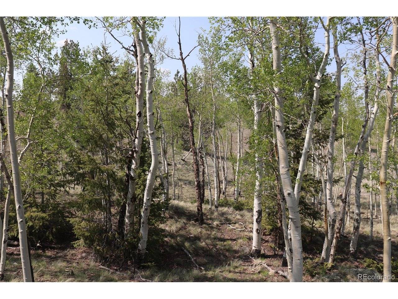 687 Corral, Hartsel, CO 80449