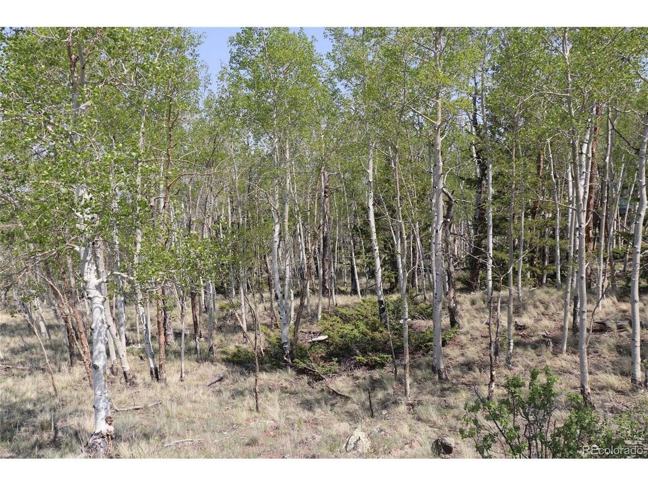 687 Corral, Hartsel, CO 80449
