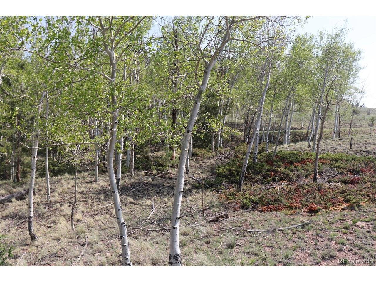 687 Corral, Hartsel, CO 80449