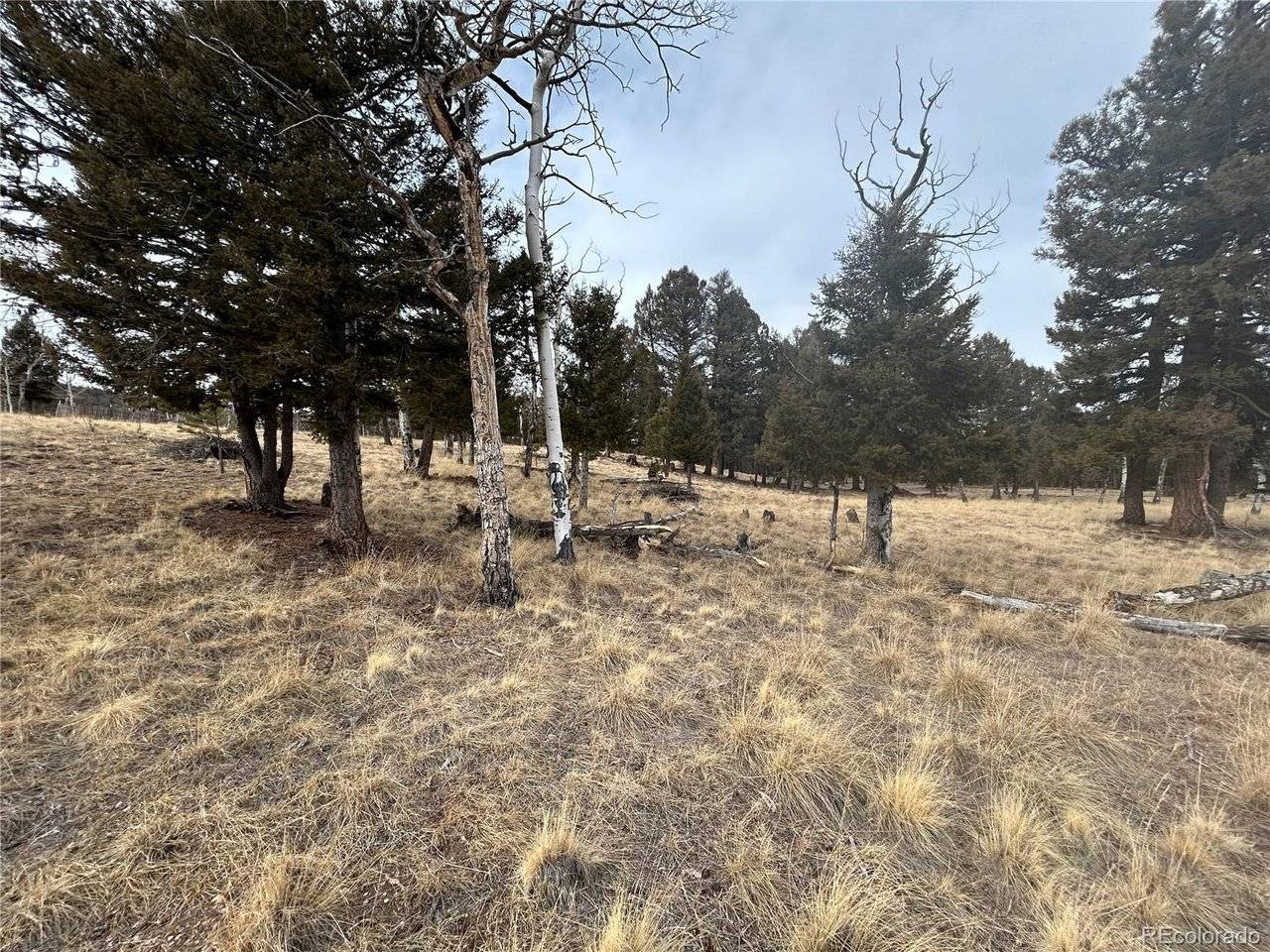 1421 Pitchfork, Hartsel, CO 80449