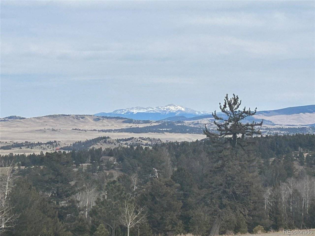 1421 Pitchfork, Hartsel, CO 80449