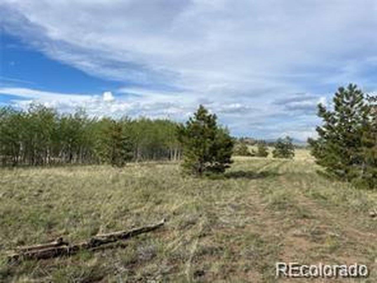 1599 Campfire, Hartsel, CO 80449
