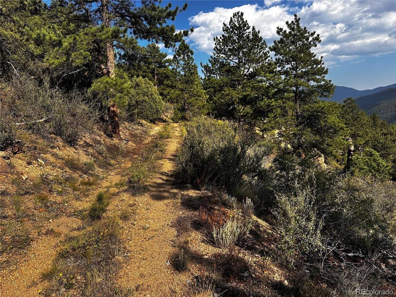 Lot 1 Eagle Mining Claim, Dumont, CO 80436
