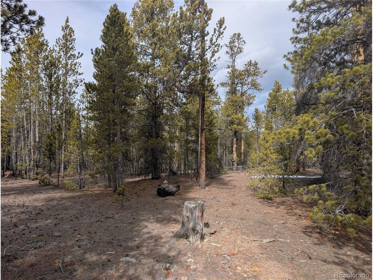 179 Cedar, Twin Lakes, CO 80461