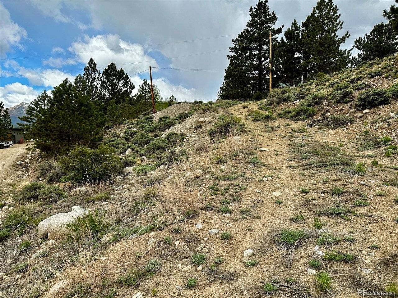 9 Mount Hope, Twin Lakes, CO 81251
