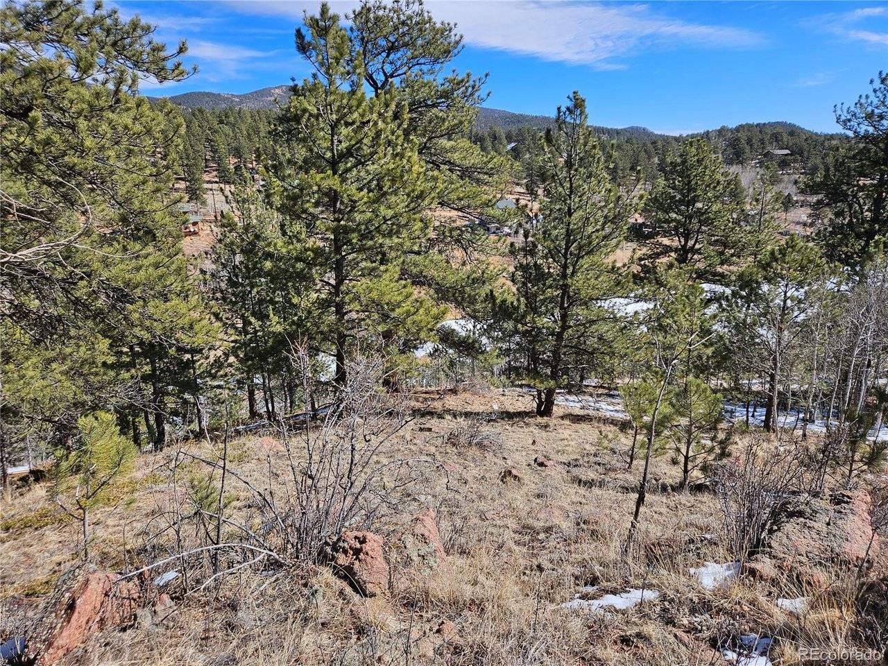 147 Ward, Bailey, CO 80421