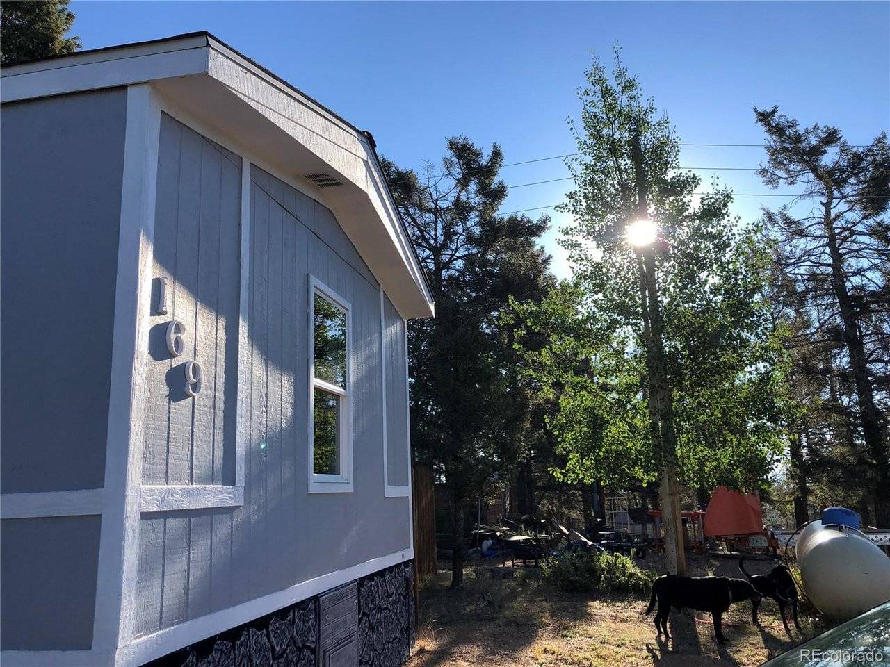 169 Daisy, Woodland Park, CO 80863