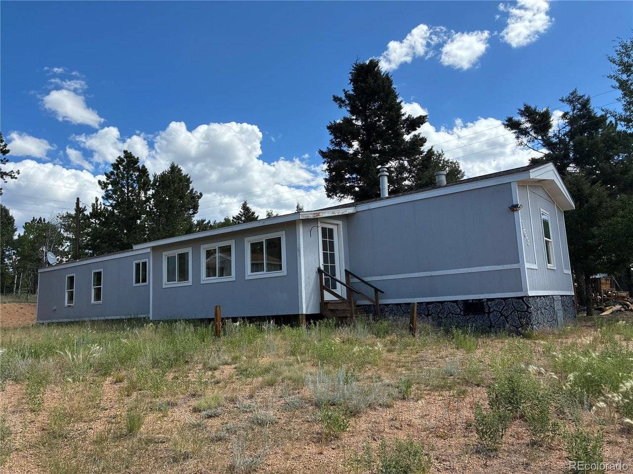 169 Daisy, Woodland Park, CO 80863