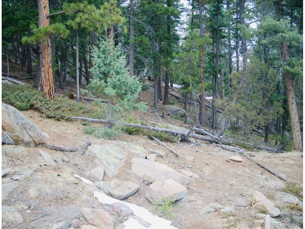 22076 High Springs, Morrison, CO 80465