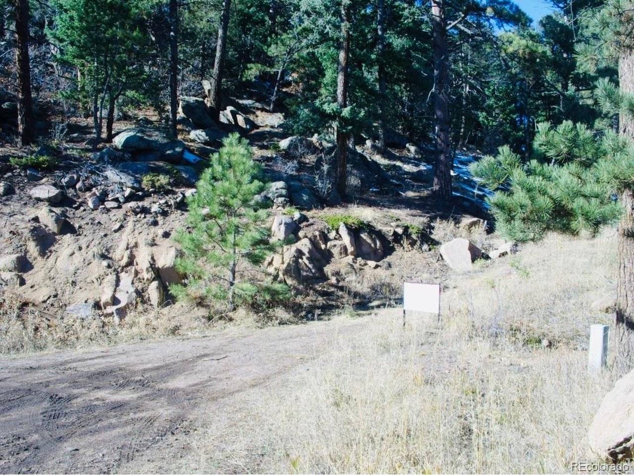 22076 High Springs, Morrison, CO 80465