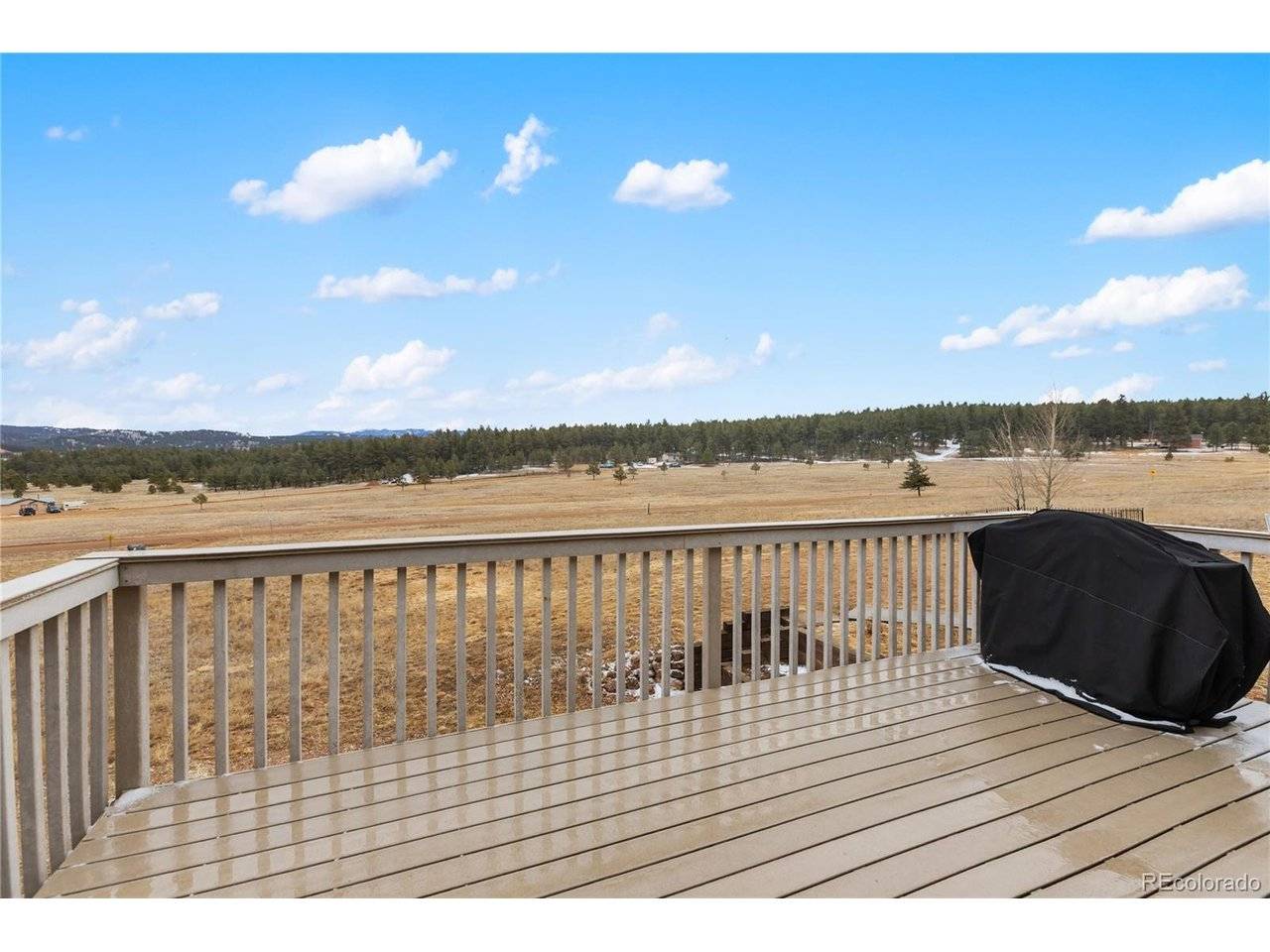 901 Wilson, Florissant, CO 80816