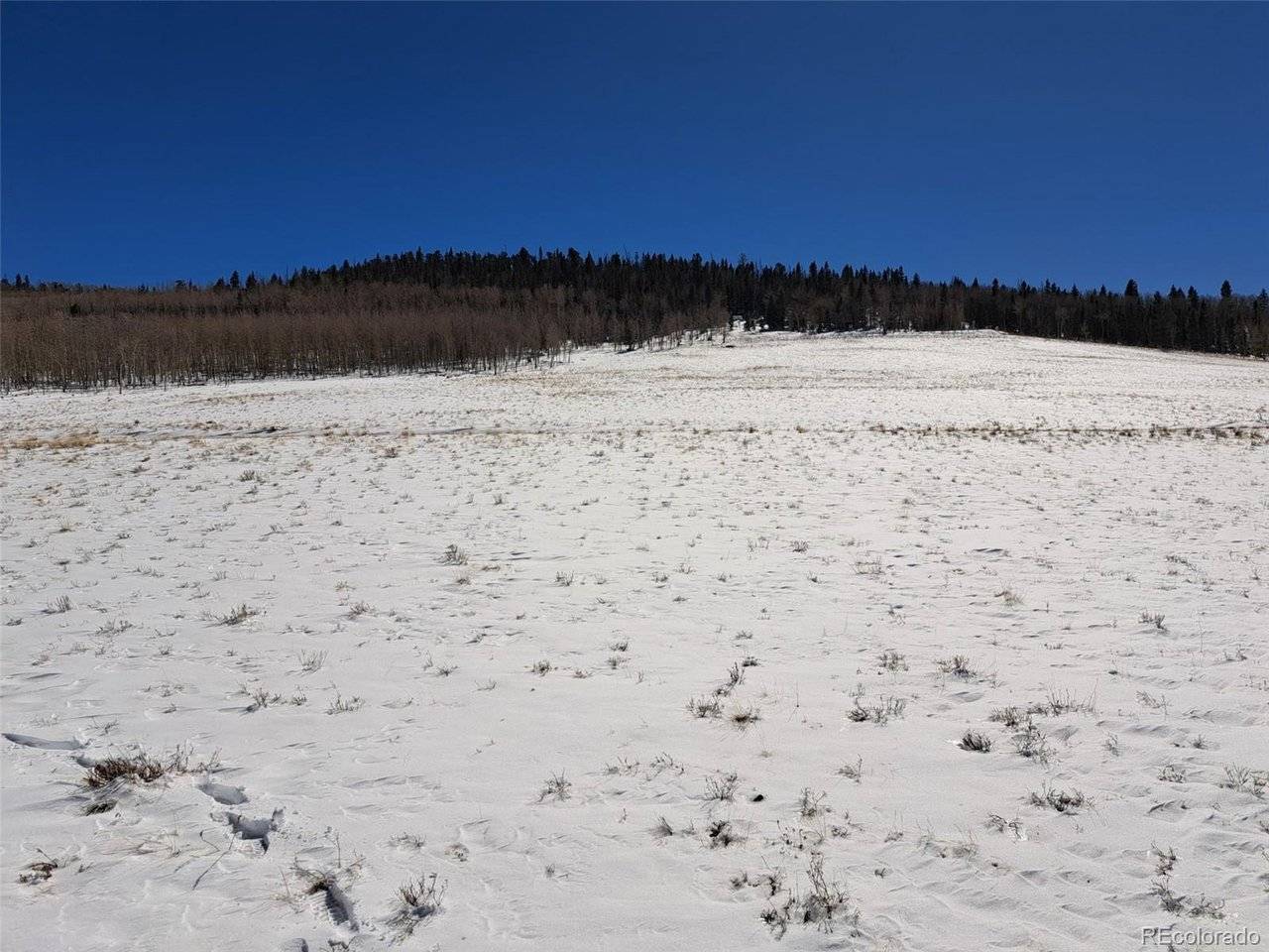 0 Jicarilla, Hartsel, CO 80449