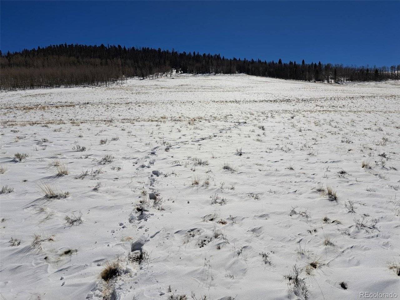 0 Jicarilla, Hartsel, CO 80449