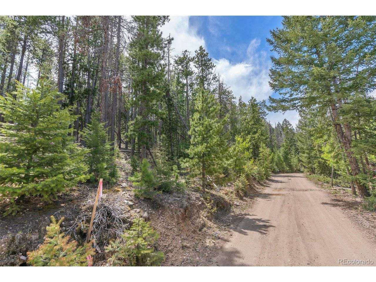 Lost Cabin Trail, Evergreen, CO 80439
