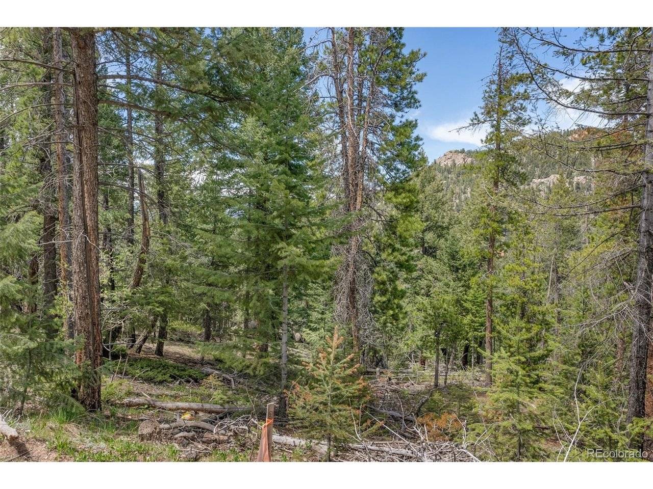 Lost Cabin Trail, Evergreen, CO 80439