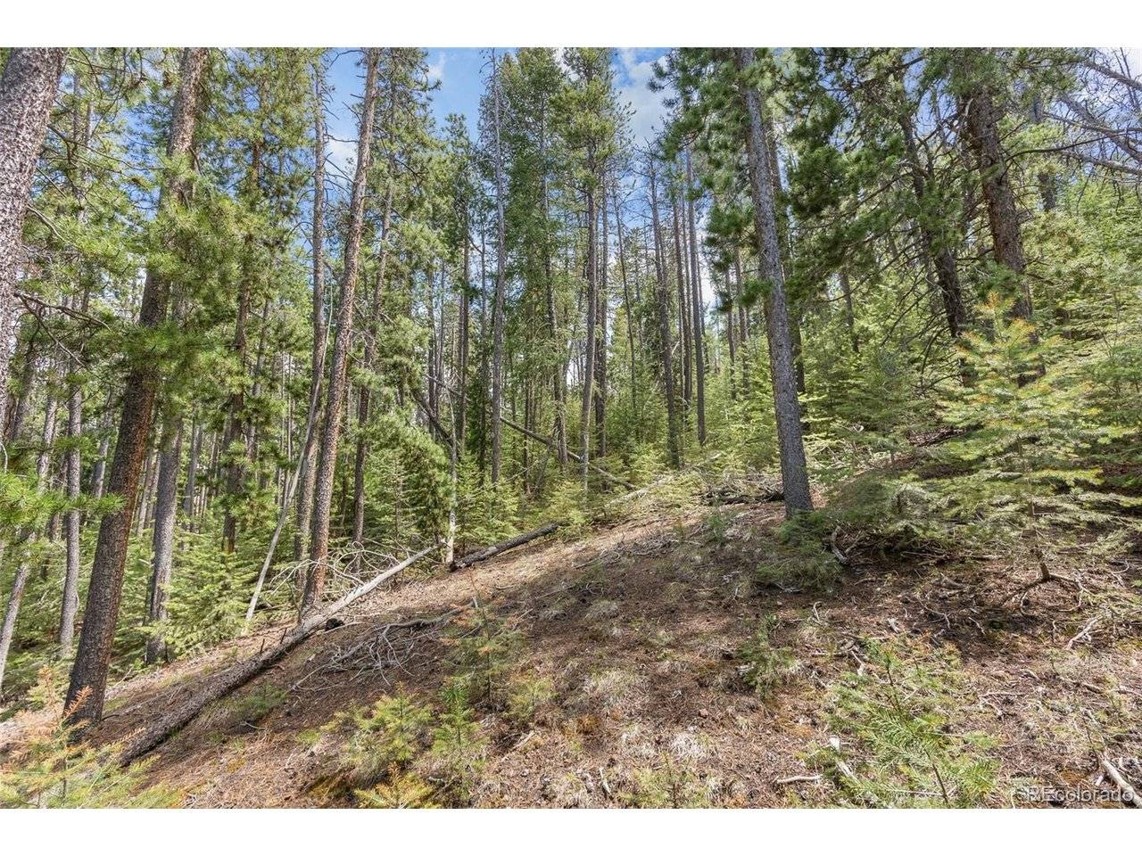 Lost Cabin Trail, Evergreen, CO 80439