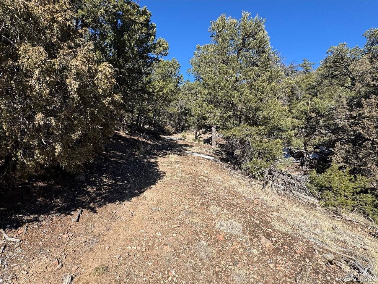 1214 Kevin, Cotopaxi, CO 81223