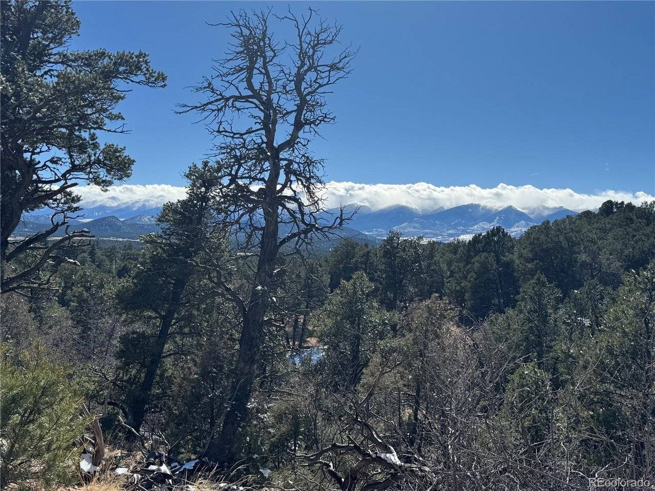 1214 Kevin, Cotopaxi, CO 81223