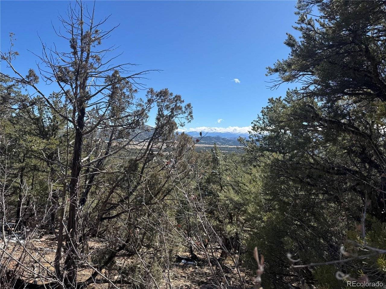 1214 Kevin, Cotopaxi, CO 81223