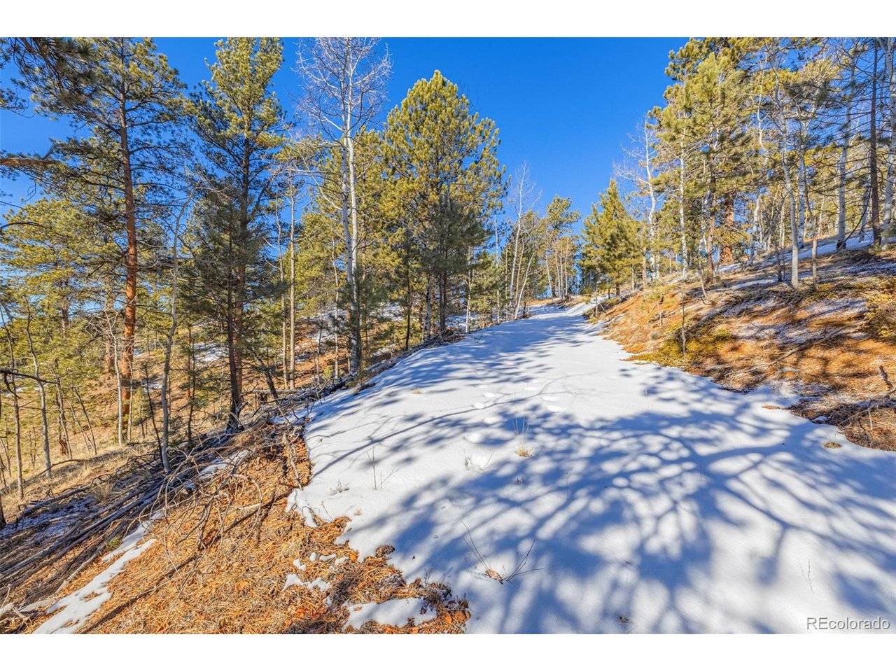 772 E Bison Creek, Florissant, CO 80816